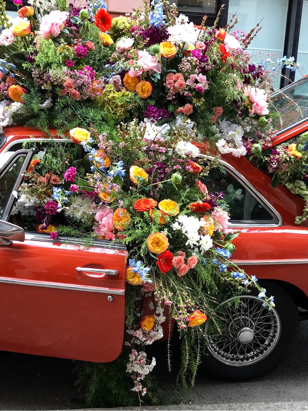 Floral-Car Print - Vibrant  Home Accent